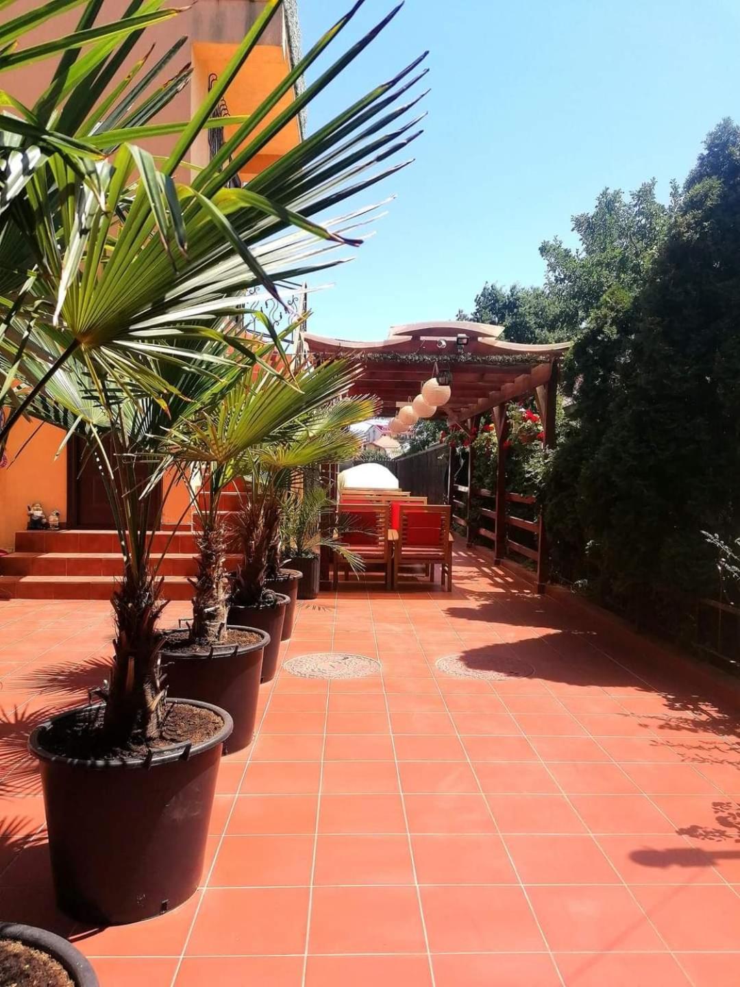 Vila Floarea Etiquette Costinesti Exterior photo